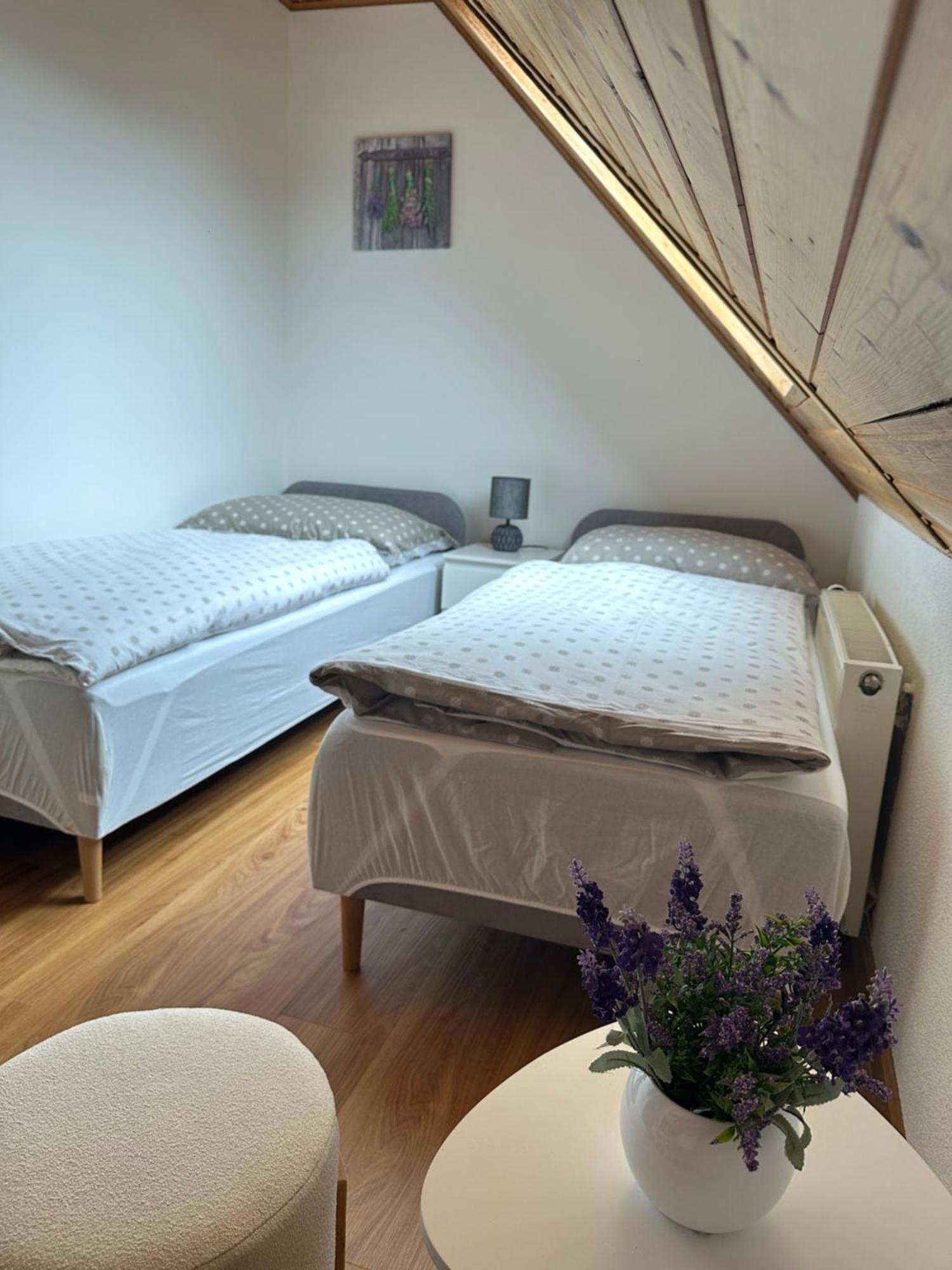 Apartman Jako U Babicky Тиса Экстерьер фото
